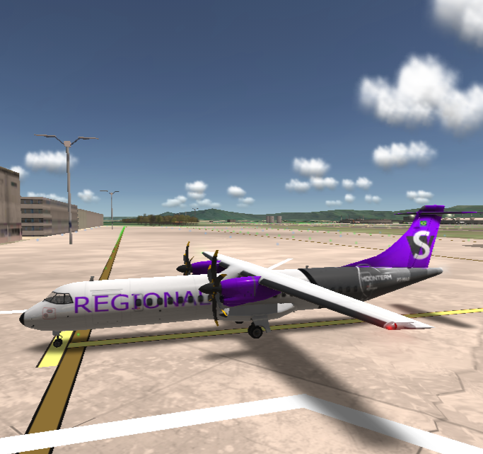 PT-MAA pintura regional