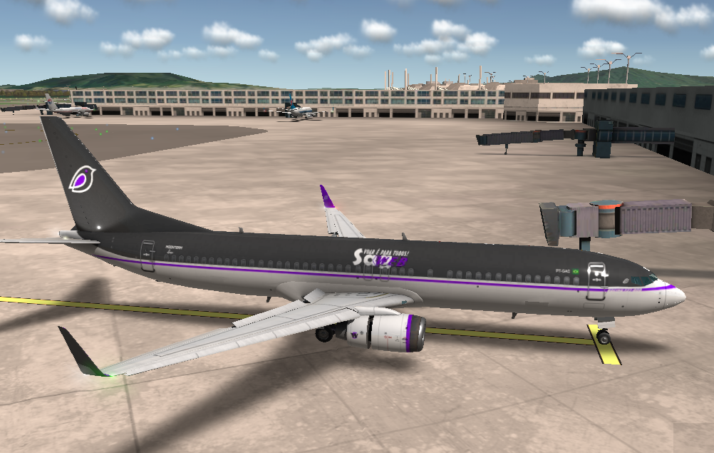 PT-GAC pintura bird