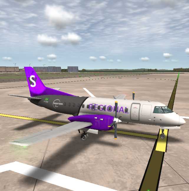PT-SWF pintura regional